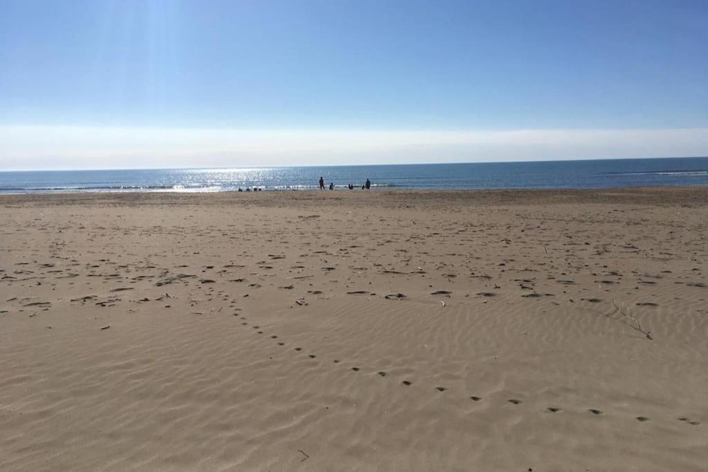 Appartement Neuf 4 Etoiles - Sunset Lodge, Narbonne Plage Eksteriør bilde